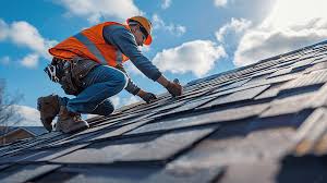 Best Solar Panel Roofing Installation  in Tavares, FL